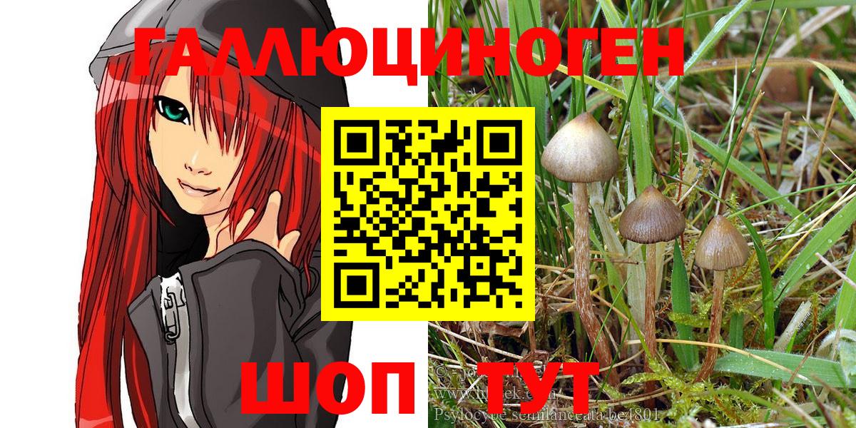 Галлюциногенные грибы GOLDEN TEACHER  Галлюциногенные грибы Cubensis  Белая Калитва 